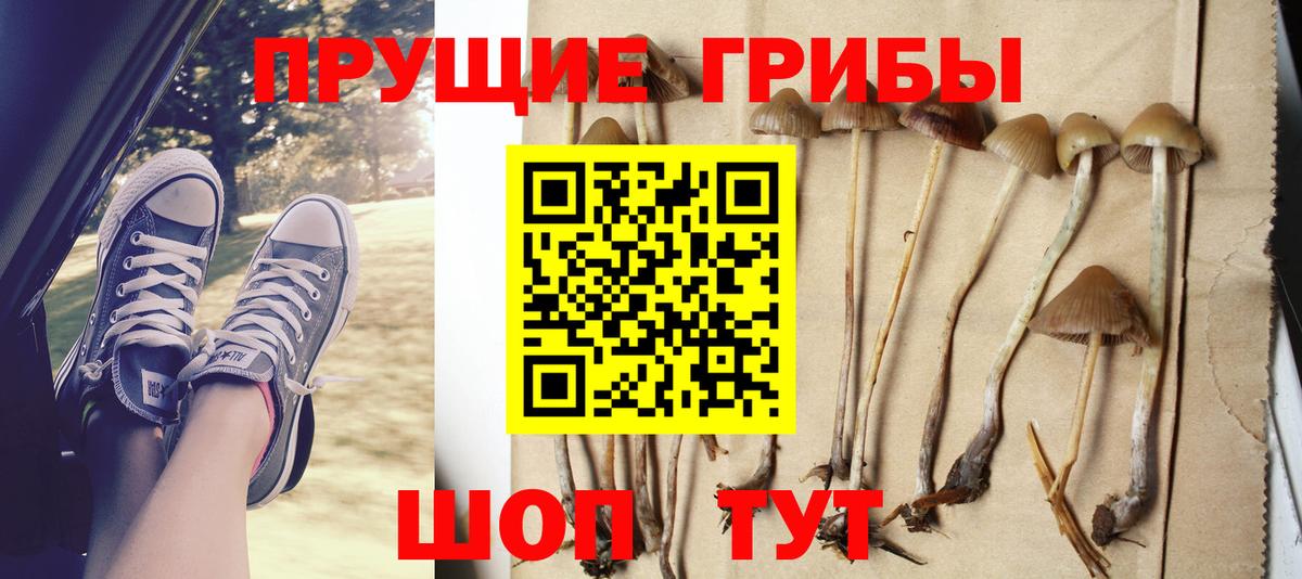 Псилоцибиновые грибы мицелий  Вход с VPN  цена   Боровичи 
